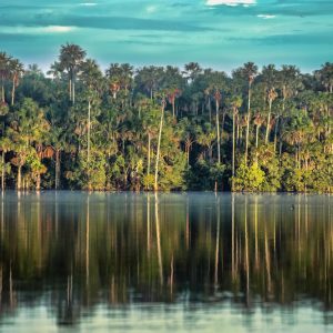 Riserva Naturale, gremita di flora – fauna autoctona. Tambopata – Perù. “Lago Sandoval – Gli Ara”